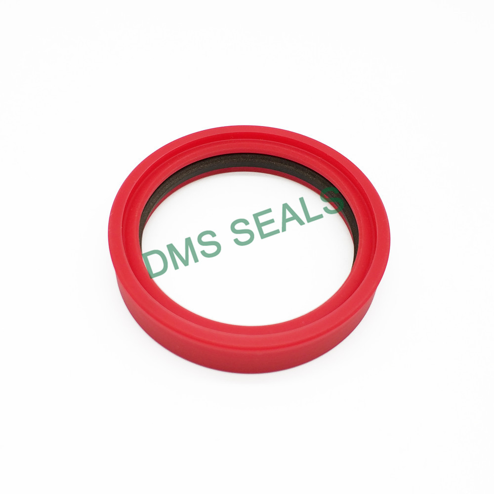 DMS Seals rotary seals manufacturer supplier for piston and hydraulic cylinder-2