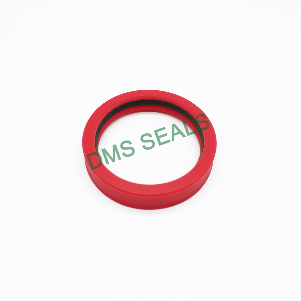 product-DMS Seals-img