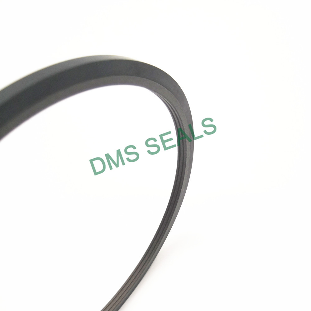 DMS Seal Manufacturer bronze filled sunny oil seal manufacturer supplier for larger piston clearance-2