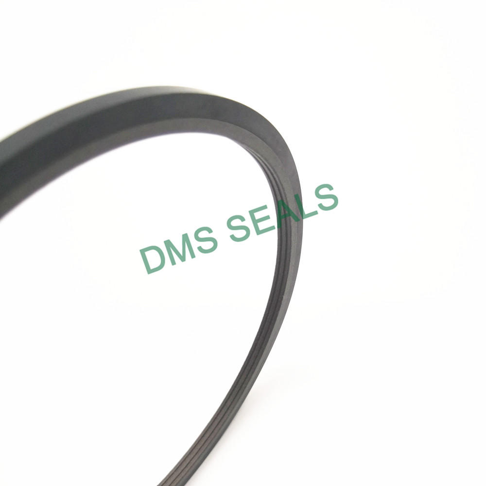 bronze PTFE rod seal for hydraulic cylinder SPN
