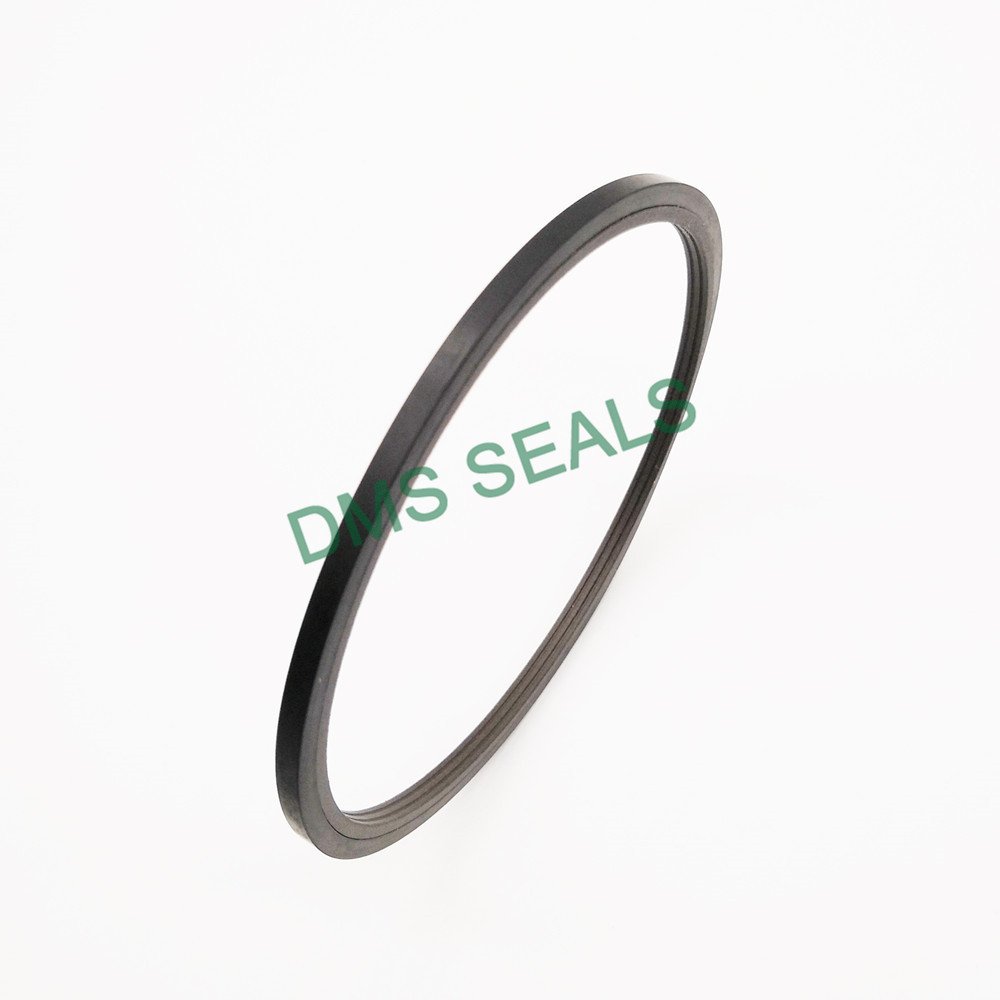 DMS Seal Manufacturer bronze filled sunny oil seal manufacturer supplier for larger piston clearance-3