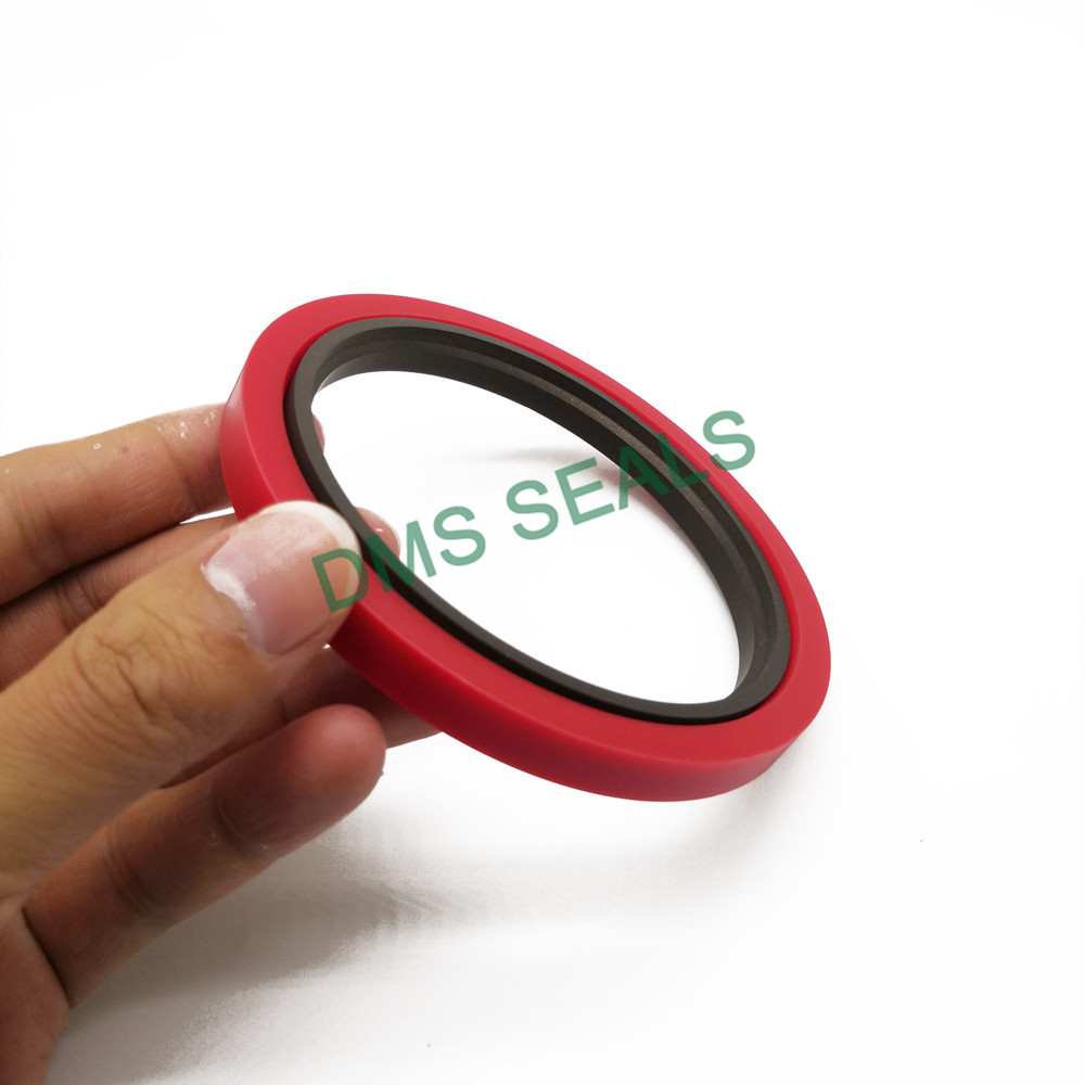 product-DMS Seals-img