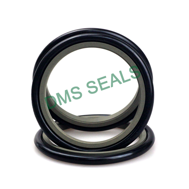 news-DMS Seals-DMS Seal Manufacturer bronze filled hydraulic ram seals o ring for larger piston clea