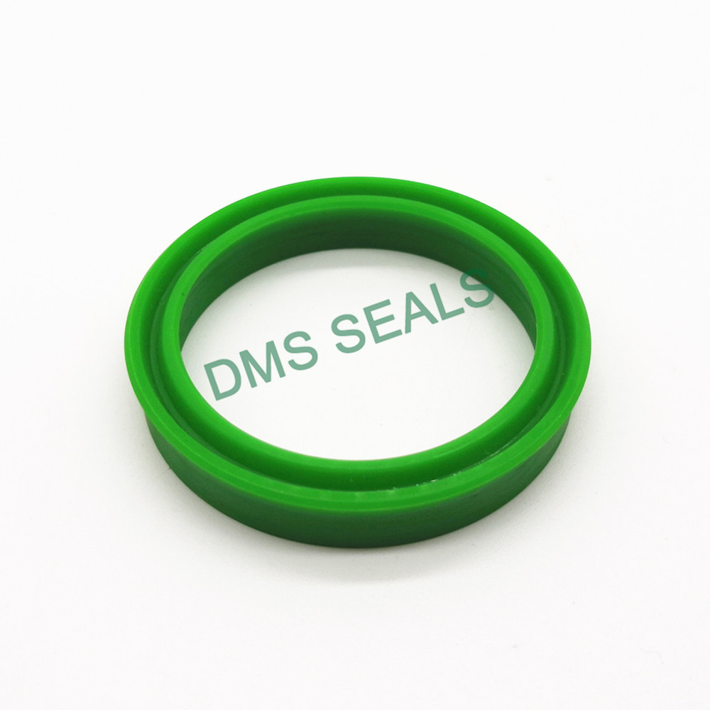 DMS Seal Manufacturer oil seal manufacturers wholesale-2
