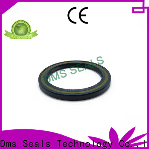 DMS Seal Manufacturer primary oil seal hydraulic with integrated spring for low and high viscosity fluids sealing