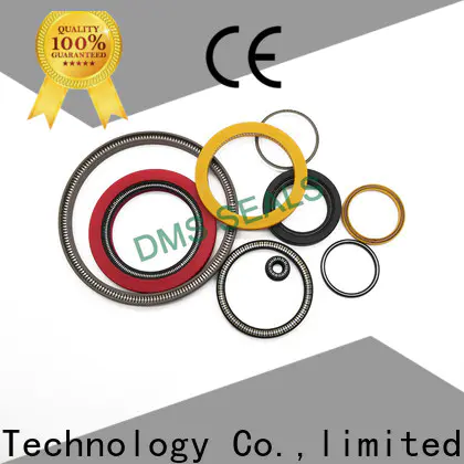 DMS Seal Manufacturer mechanical seal problems manufacturers for reciprocating piston rod or piston single acting seal