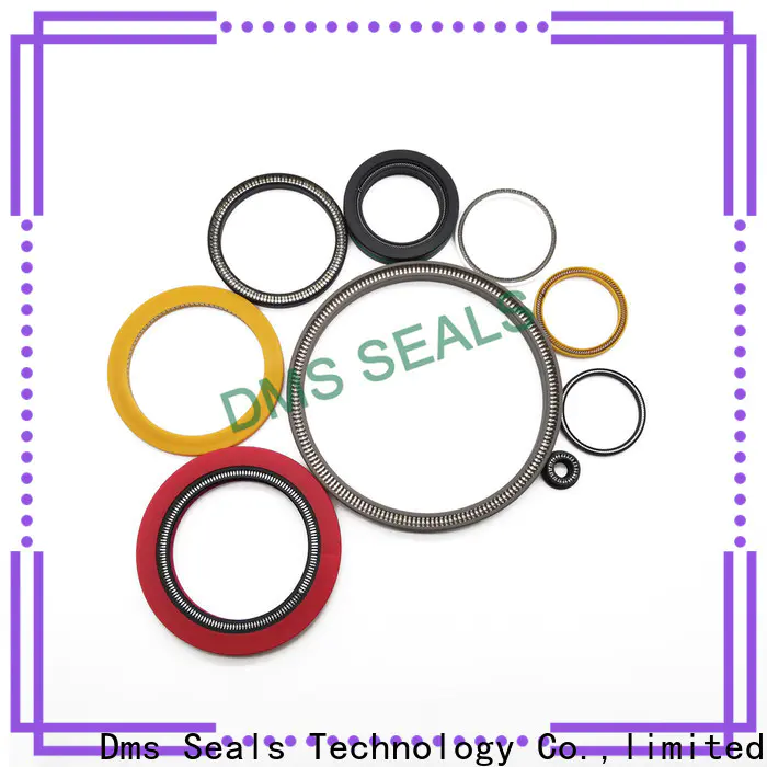 DMS Seal Manufacturer garter spring seal manufacturers for reciprocating piston rod or piston single acting seal
