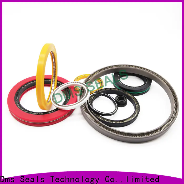 DMS Seal Manufacturer Best shaft seals for dynamic applications Supply for reciprocating piston rod or piston single acting seal