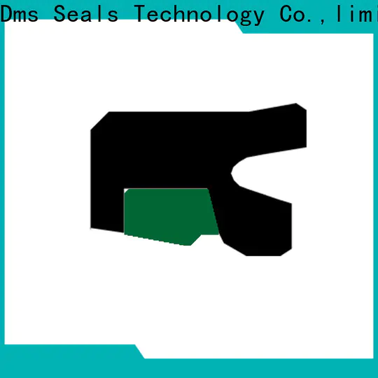 DMS Seal Manufacturer Latest air piston seal factory to high and low speed