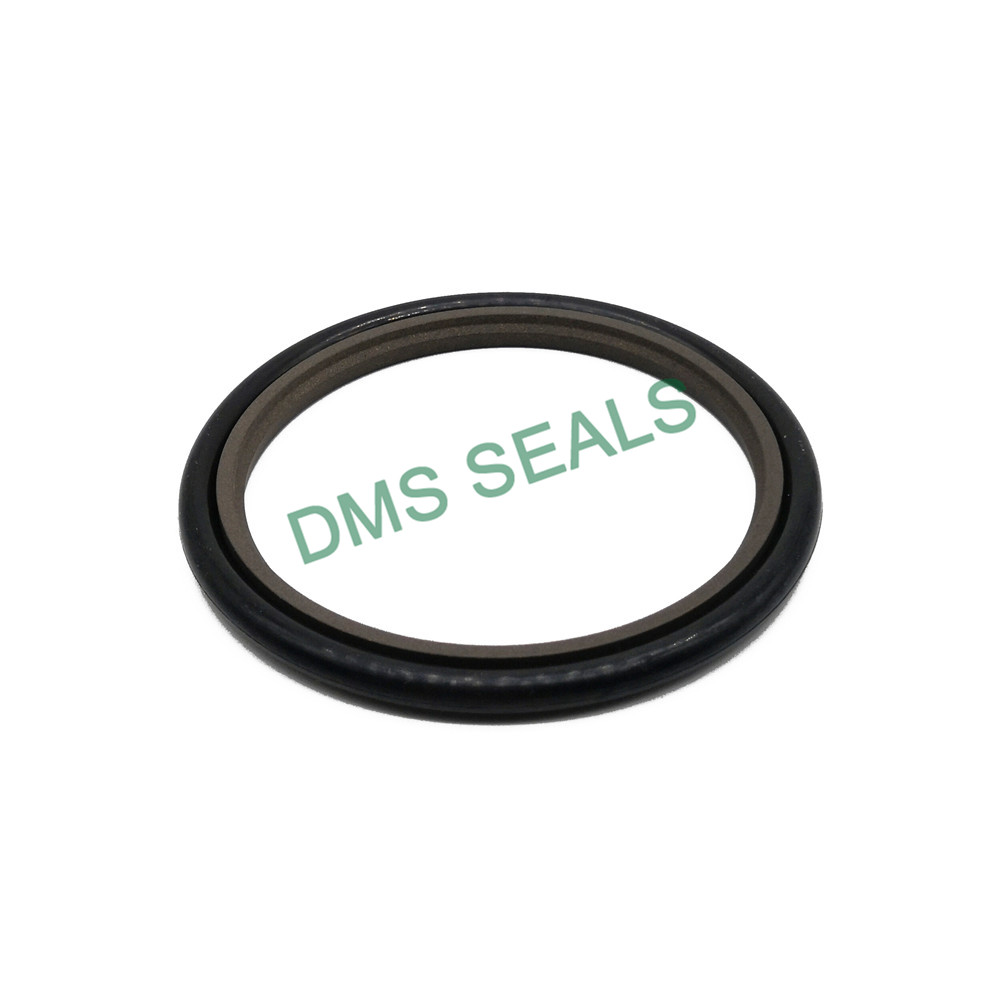 application-bronze filled hydraulic oil seal glyd ring for piston and hydraulic cylinder-DMS Seals-i