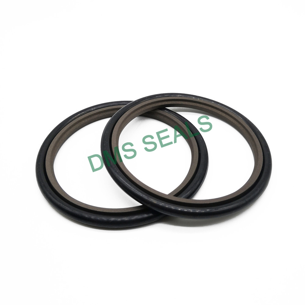 bronze filled hydraulic oil seal glyd ring for piston and hydraulic cylinder-DMS Seals-img