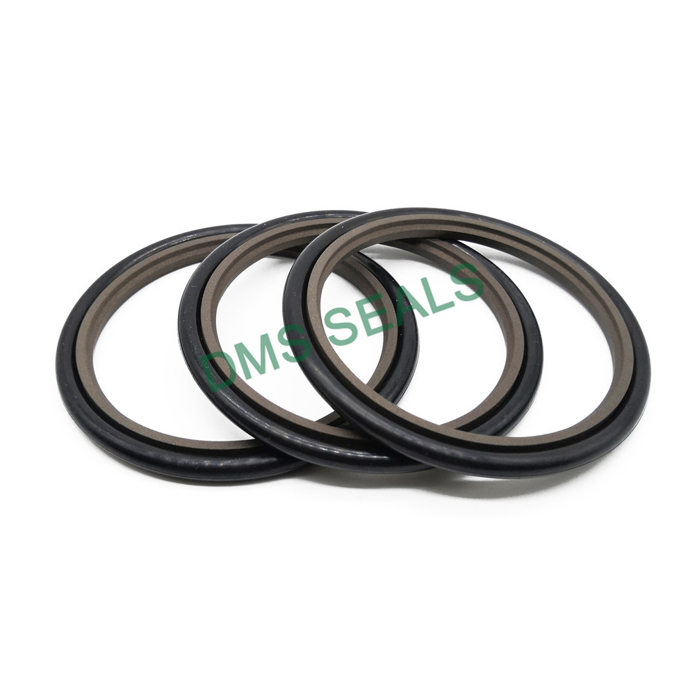 DMS Seal Manufacturer hydraulic oil seal glyd ring for larger piston clearance-2