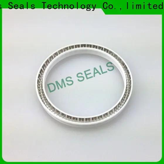 DMS Seal Manufacturer rotating mechanical seal for business for reciprocating piston rod or piston single acting seal