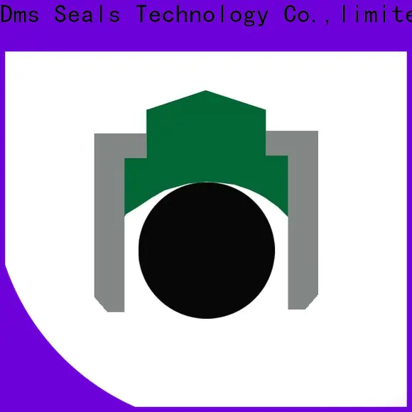 DMS Seal Manufacturer spareage piston seals for automotive equipment