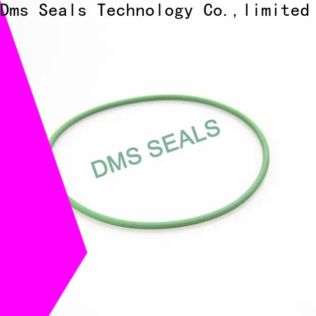 DMS Seal Manufacturer Wholesale square o ring sizes factory in highly aggressive chemical processing