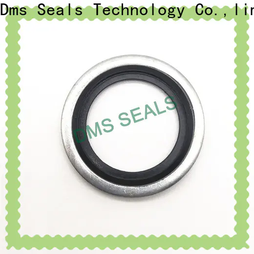 DMS Seal Manufacturer bonded seals catalogue factory for fast and automatic installation