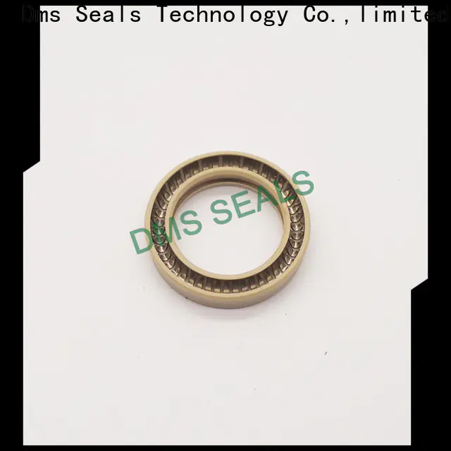 DMS Seal Manufacturer rotary lip seal application Supply for reciprocating piston rod or piston single acting seal