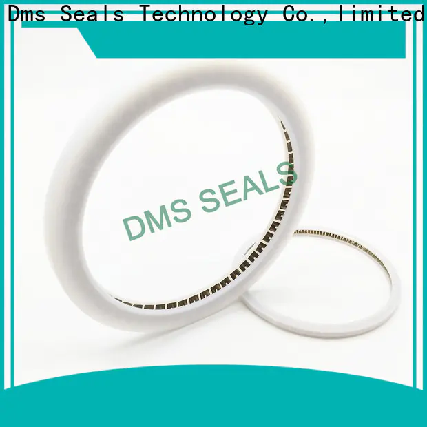 DMS Seal Manufacturer Top shaft seals for dynamic applications manufacturers for reciprocating piston rod or piston single acting seal