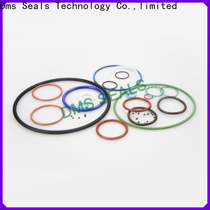 DMS Seal Manufacturer rubber x and o ring factory in highly aggressive chemical processing