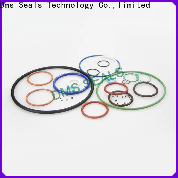 DMS Seal Manufacturer rubber x and o ring factory in highly aggressive chemical processing