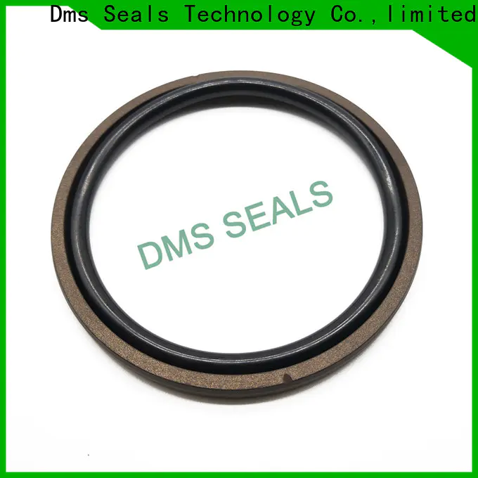 DMS Seal Manufacturer Wholesale oil seal hydraulic manufacturer for pneumatic equipment