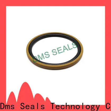 DMS Seal Manufacturer hydraulic o rings suppliers factory for pneumatic equipment
