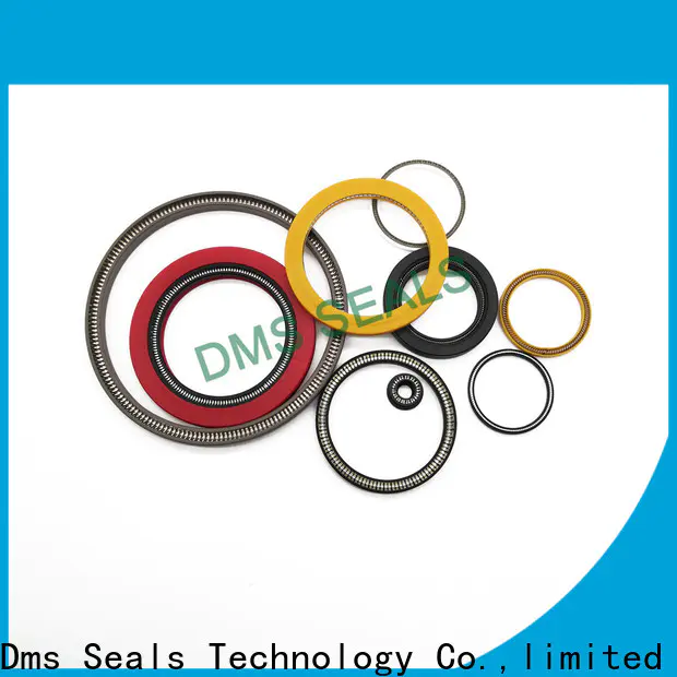 DMS Seal Manufacturer High-quality multi spring seal manufacturers for reciprocating piston rod or piston single acting seal