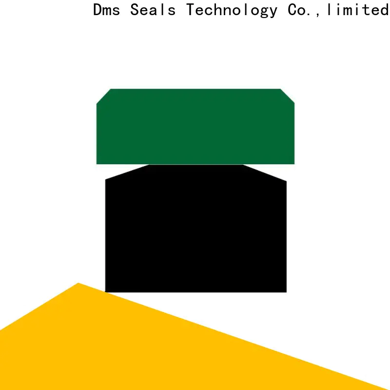 DMS Seal Manufacturer High-quality rod seal design factory for sale