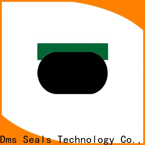 Custom rod seal design manufacturer for sale