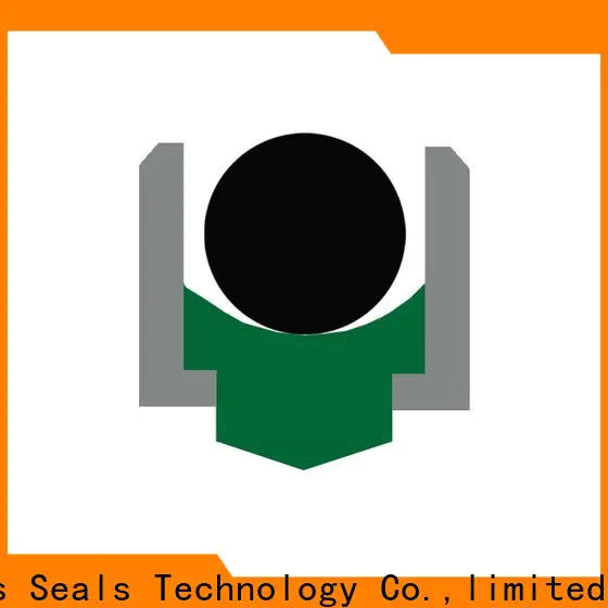 DMS Seal Manufacturer High-quality rotary lip seal application for business for construction machinery