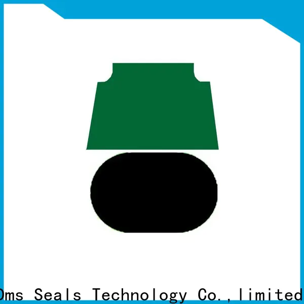 DMS Seal Manufacturer shaft wiper seal glyd ring for sale
