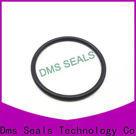 DMS Seal Manufacturer High-quality 19mm o ring for sale
