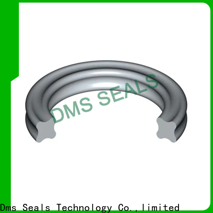 DMS Seal Manufacturer o ring retailer factory for static sealing