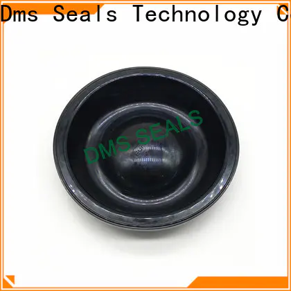 DMS Seal Manufacturer high quality rubber edge trim moulding manufacturers for leakage gap
