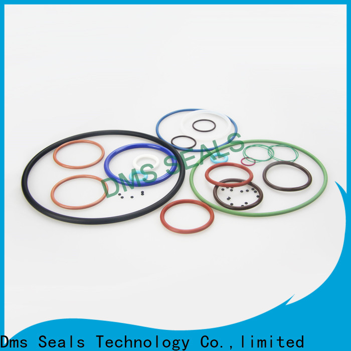 DMS Seal Manufacturer Latest 3 4 inch rubber o ring factory in highly aggressive chemical processing