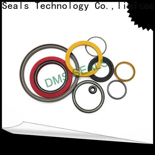 DMS Seal Manufacturer rotary lip seal application company for reciprocating piston rod or piston single acting seal