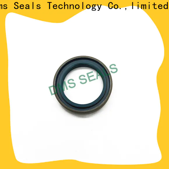 DMS Seal Manufacturer oil seal grease with low radial forces for housing