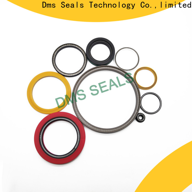 DMS Seal Manufacturer spring energized seals manufacturers for reciprocating piston rod or piston single acting seal