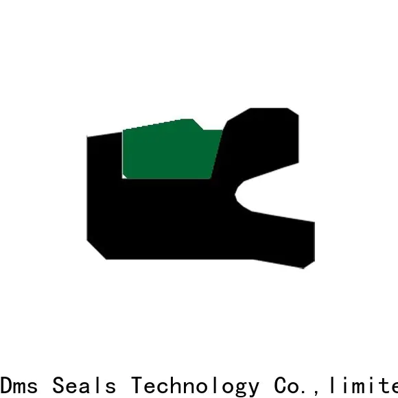 DMS Seal Manufacturer hydraulic oil seal manufacturers manufacturer for sale