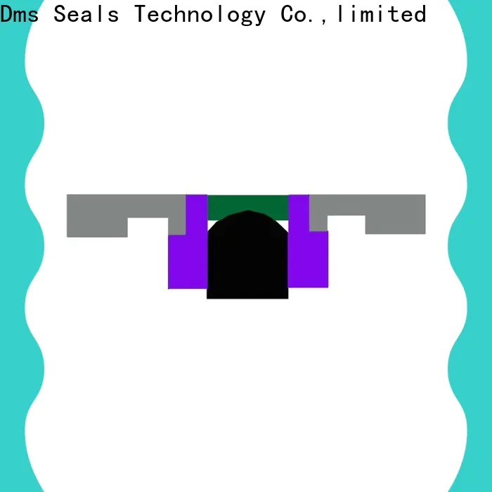 DMS Seal Manufacturer rod seal installation manufacturer for sale