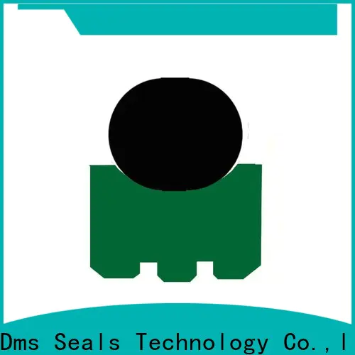 DMS Seal Manufacturer what is a rotary lip seal factory for construction machinery