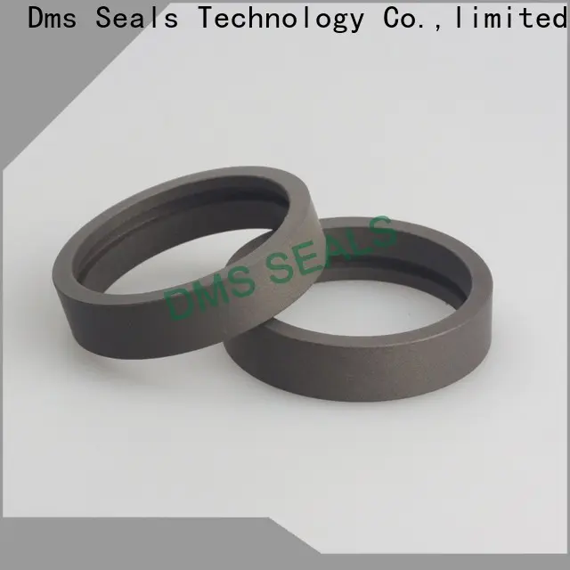 DMS Seal Manufacturer different types of roller bearings manufacturers for sale