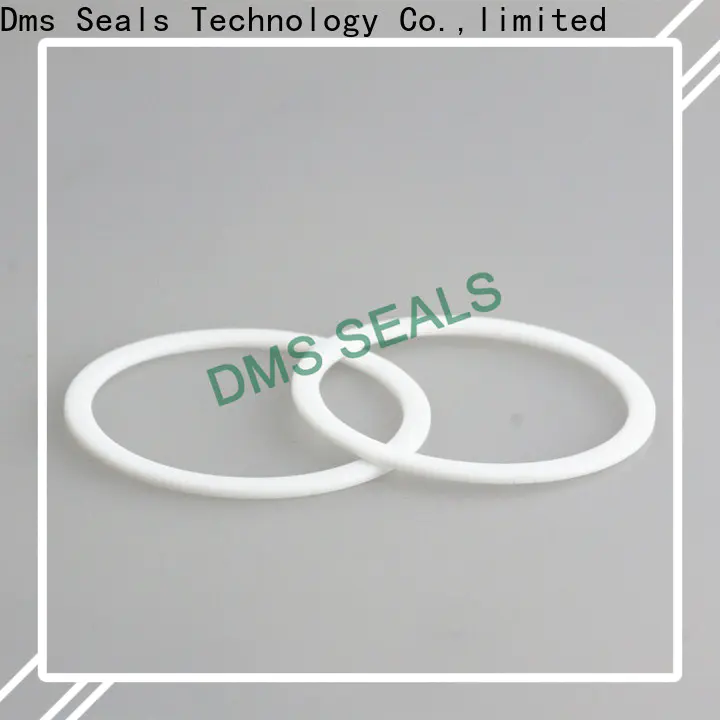 DMS Seal Manufacturer spiral wound gasket type r material for preventing the seal from being squeezed