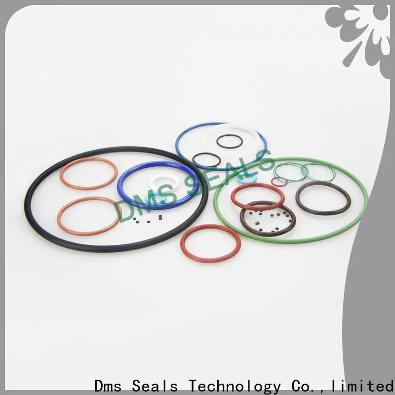 DMS Seal Manufacturer Custom rectangular o ring seal for sale