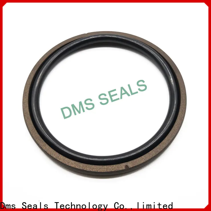 DMS Seal Manufacturer hydraulic cylinder seals and wipers manufacturers for light and medium hydraulic systems