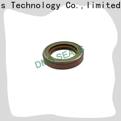 DMS Seal Manufacturer piston oil seal with integrated spring for sale