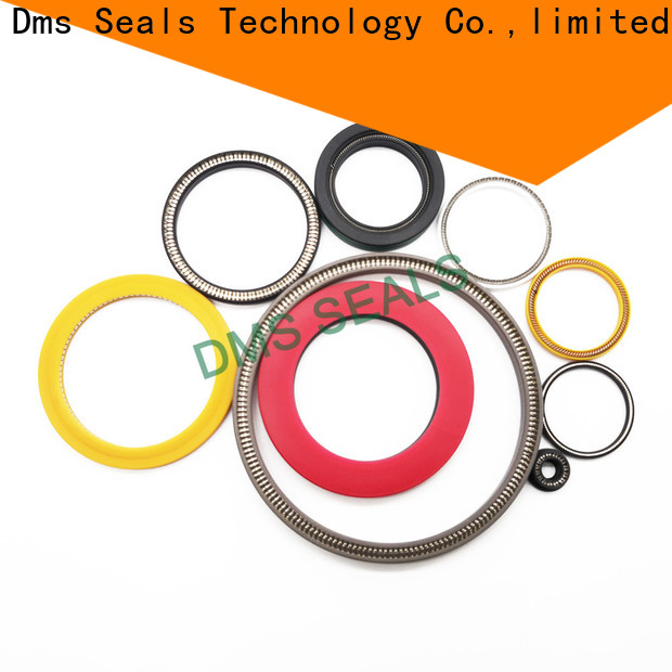 DMS Seal Manufacturer garter spring seal company for aviation