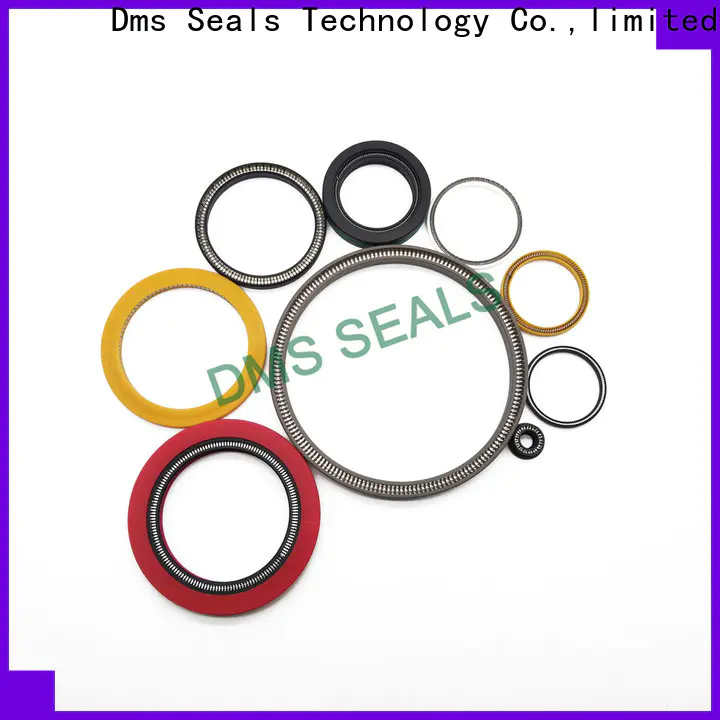 DMS Seal Manufacturer oil seal spring manufacturers for reciprocating piston rod or piston single acting seal