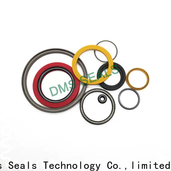 DMS Seal Manufacturer spring energized seals company for reciprocating piston rod or piston single acting seal