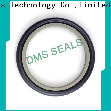 DMS Seal Manufacturer flex seal manufacturer glyd ring for larger piston clearance